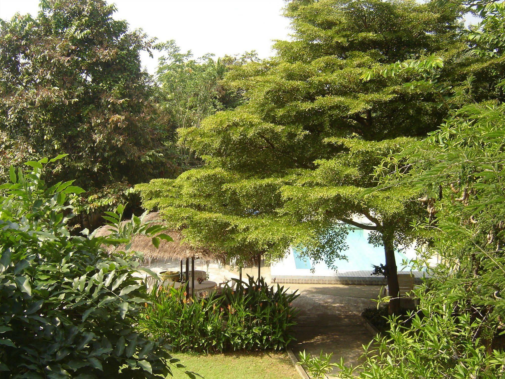 Golden Cupids Hotel Chiang Mai Eksteriør billede